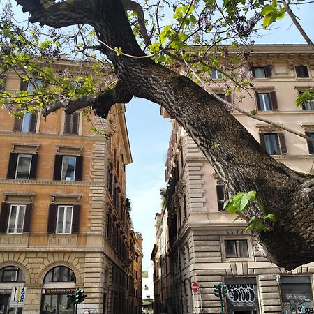 Vatican Near Sweet Home Terrace 로마 외부 사진
