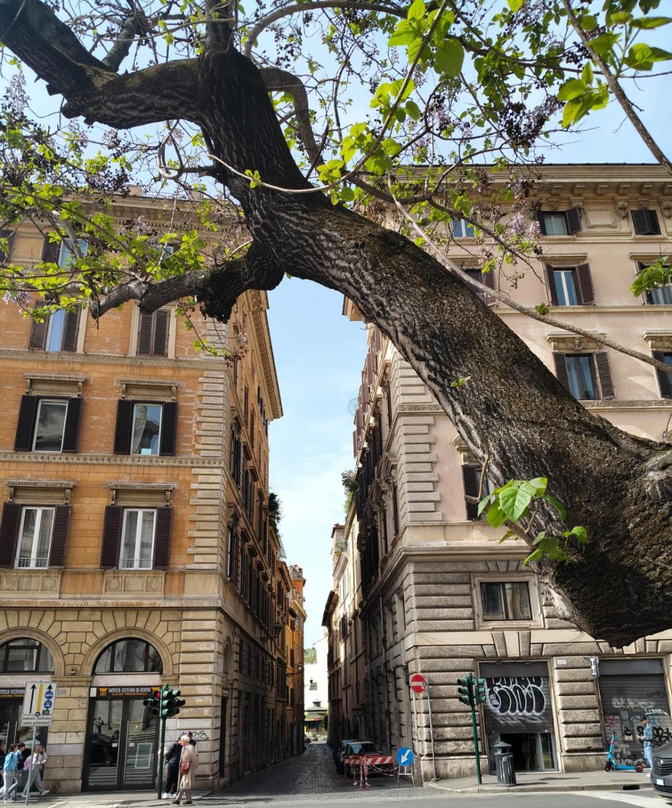 Vatican Near Sweet Home Terrace 로마 외부 사진